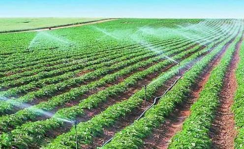 看靠逼逼做逼逼农田高 效节水灌溉